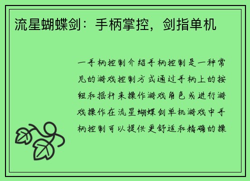 流星蝴蝶剑：手柄掌控，剑指单机
