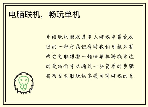 电脑联机，畅玩单机
